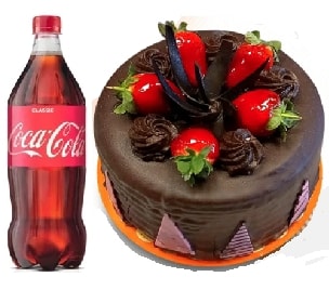 4-6 Kişilik Çikolatalı Pasta Günlük